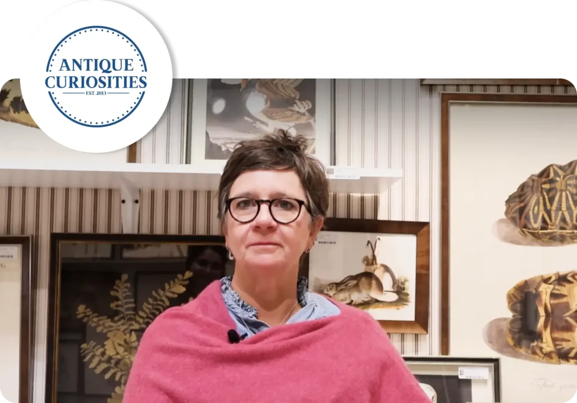 Antique Curiosities success case study Antique Curiosities success case study