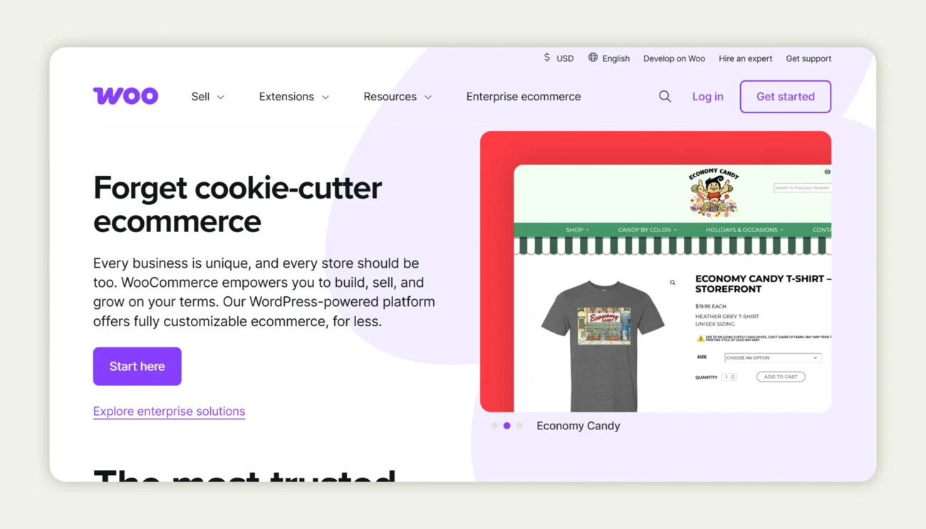 WooCommerce homepage WooCommerce homepage